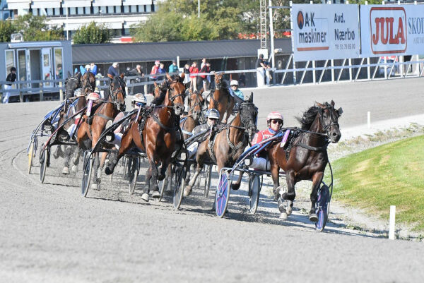 Betalte 74.000 i bøter i 2022