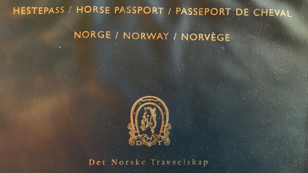 Fokus på hestepass