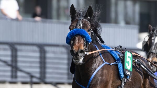 Har reist nordover