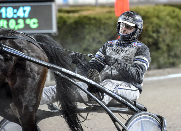 Trener på tvangsauksjon