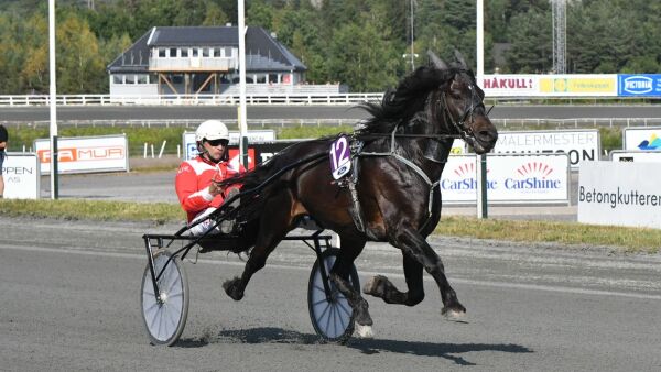 Avviste forklaringen på driving