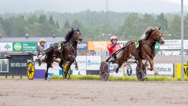 - Har trent godt i vinter