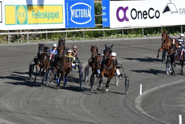 Helsedirektoratet positive