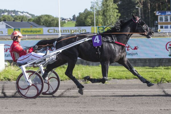 Nå stryker danskene også