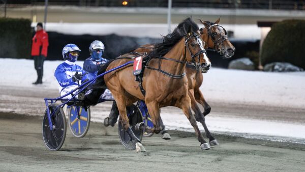 Trippel Hamre