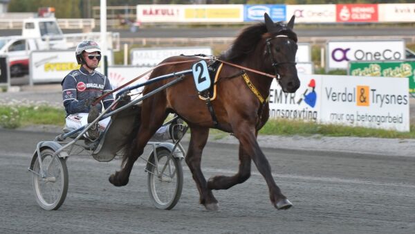 Disse 545 klarte kravene