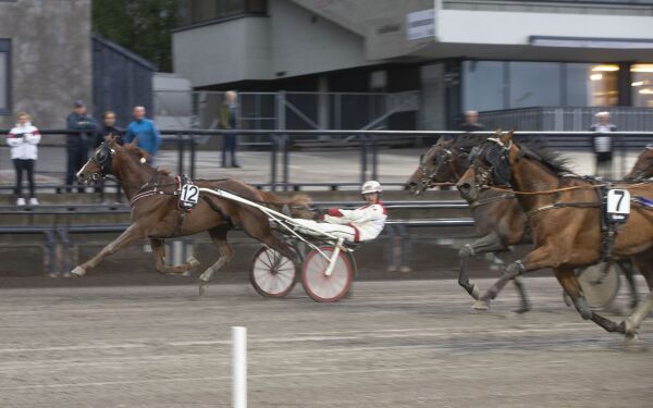 Lionel på sidelinjen