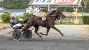 - Han slo opp skaden