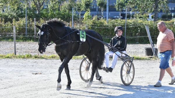 Så mange hopper fikk han