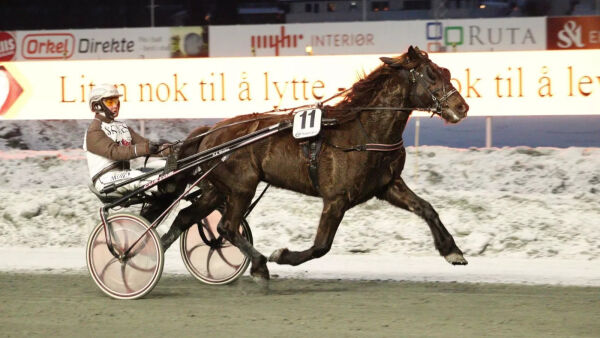 Mageplask for omsetningen
