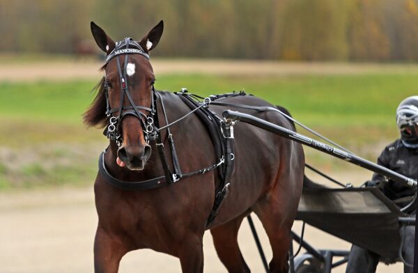Frikjent for doping