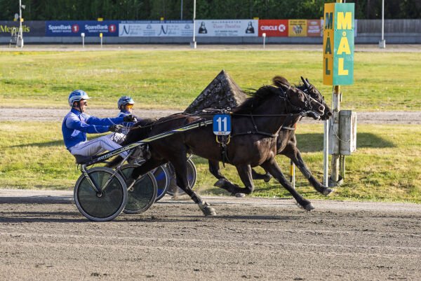 - Alle som lykkes er det moro for