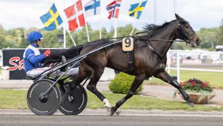 Ekteparet legger opp – og Husse Boko takker for seg