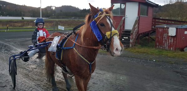 Norge på tvers for ponniløp