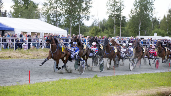 - Magnor, Kongsvinger, Haugaland og Kala består