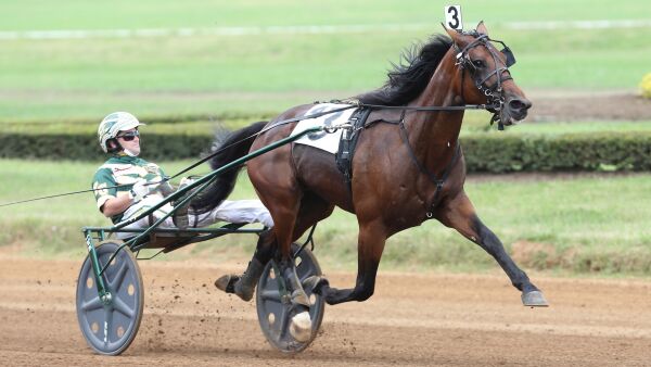 Topphingst solgt ut av USA