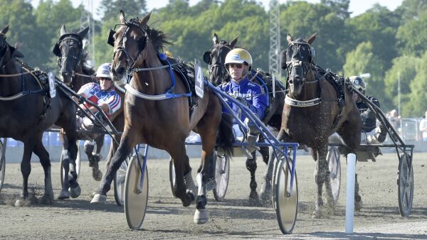 Sam The Man til Norge