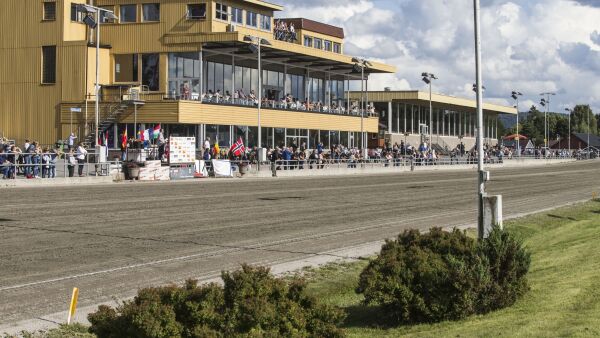 Ber regjeringen stenge ned