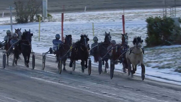 - Ble aldri satt på noen prøve