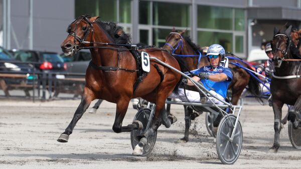 Jackpot-tipsene våre