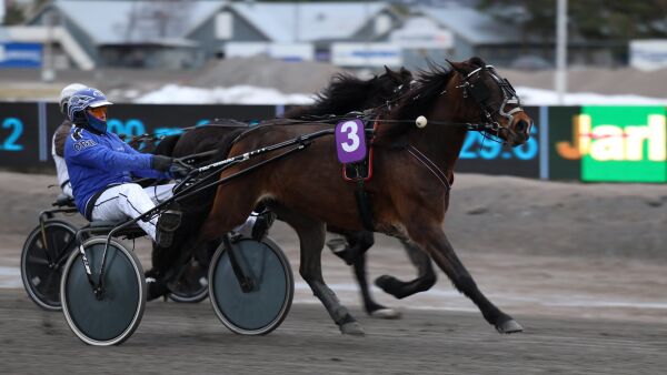 Vinnerhoppe til Finland