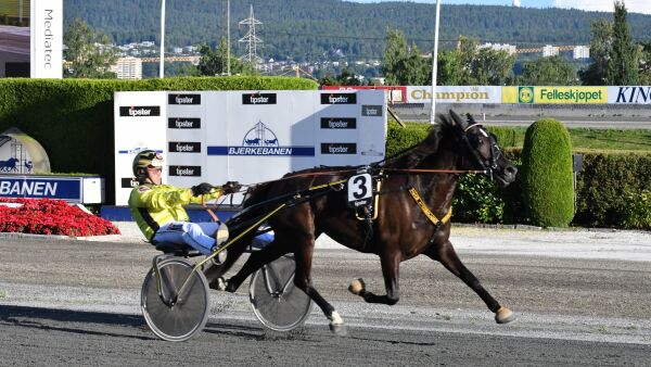 Vidars vurderinger av dagens starthester