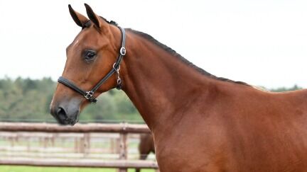 De solgte for 1.660.000