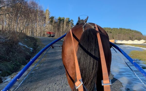 Vil ha mobilregler ved kjøring og ridning
