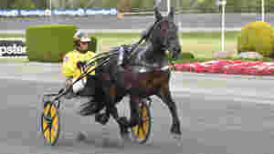 Flytter tre hester