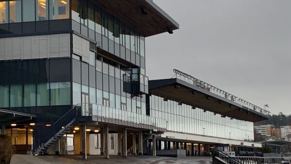 Neppe trav med det første