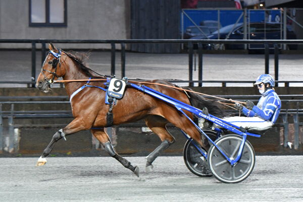 Mistet topphoppa