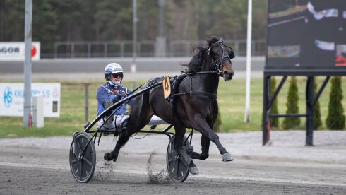 Herlig debutant