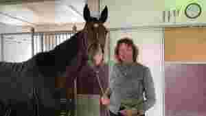 - En fantastisk hest
