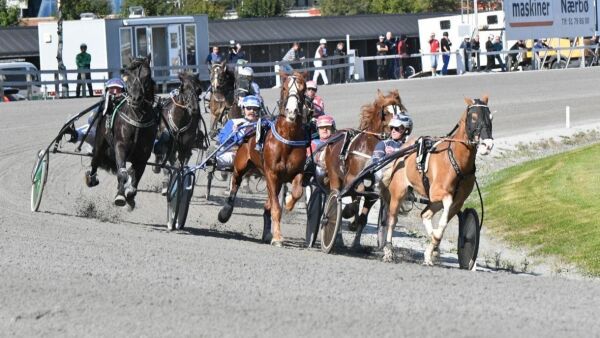 Rekord-tall for starthestene