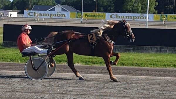 Travet 1.24,8 i prøveløpet