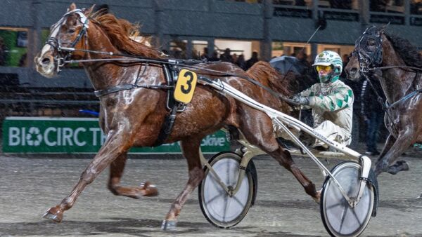 Dansk V75-vinner til Mikkelsen