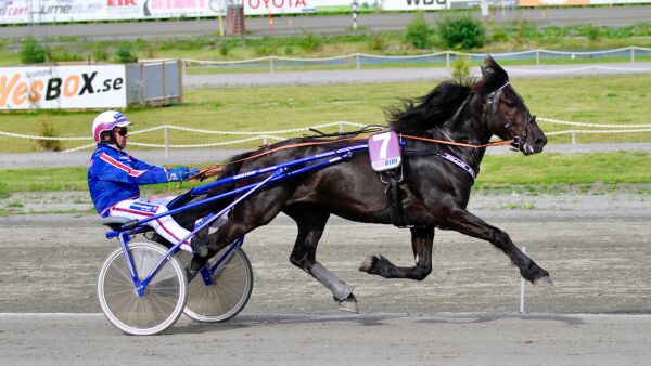 Skilles etter 204 starter