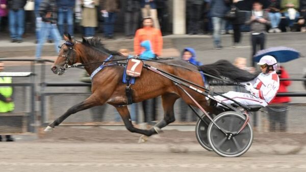Stjernen ute med skade