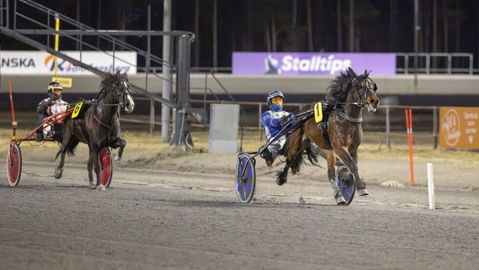 Kong Herakeles og Johan Kringeland Eriksen vinner i debuten.
 Foto: hesteguiden.com