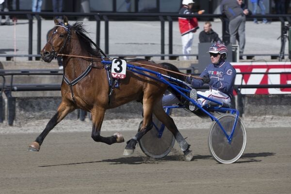 Skal utredes for problem
