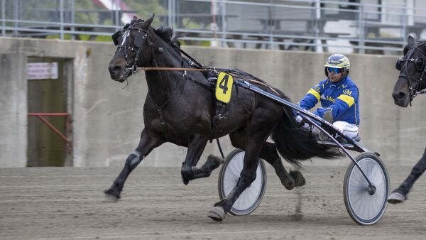 - Han er snart tilbake