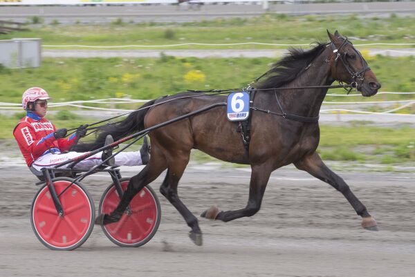 - Spennede banker i fin V75-omgang