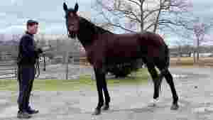1.09-traver til Gundersen