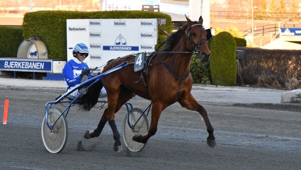 Fikk inn spennende hest