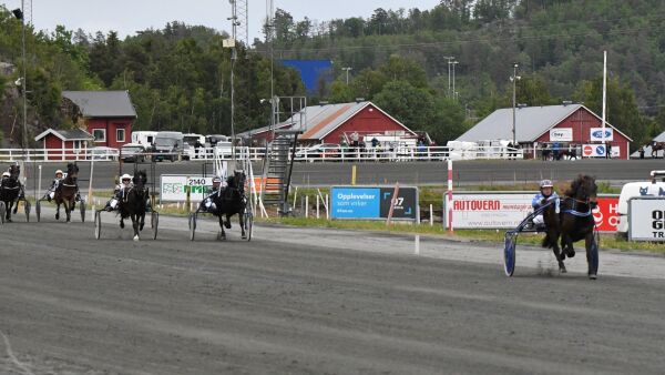 Antallet hester i trening stuper