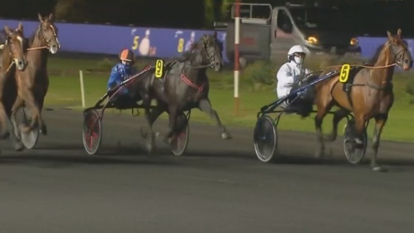 Oppløpsgalopp for Ecurie D.