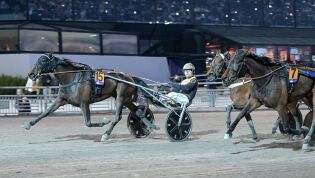 Solvalla: Maharasha med ny maktdemonstrasjon