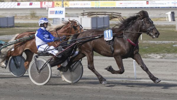 - Starter opptreningen neste uke