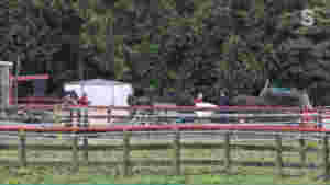 Beslagla 44 og avlivet 15 travere