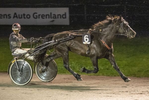 Knallhardt meldt